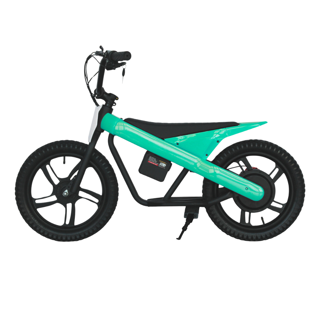 Bici eléctrica Axion max