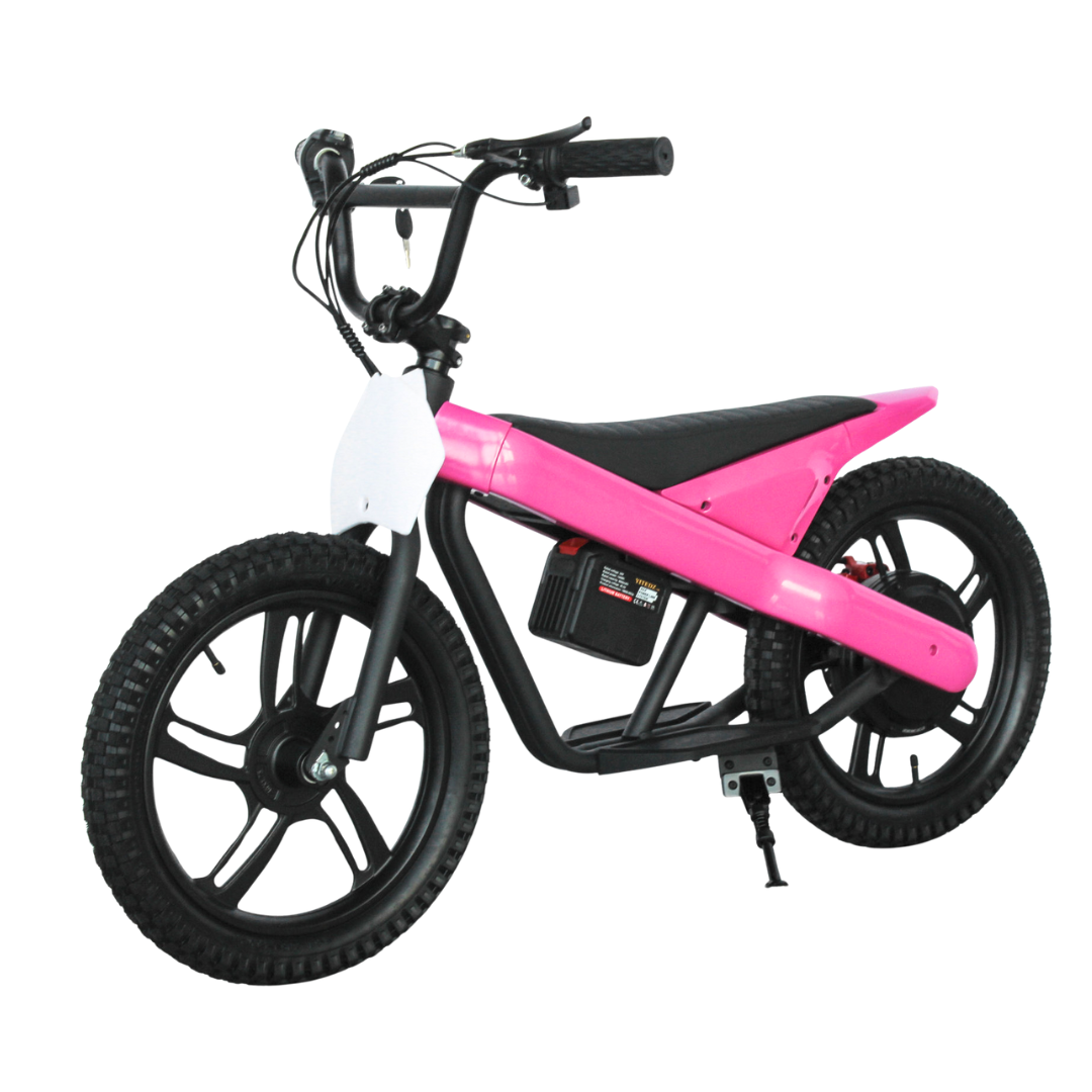 Bici eléctrica Axion max