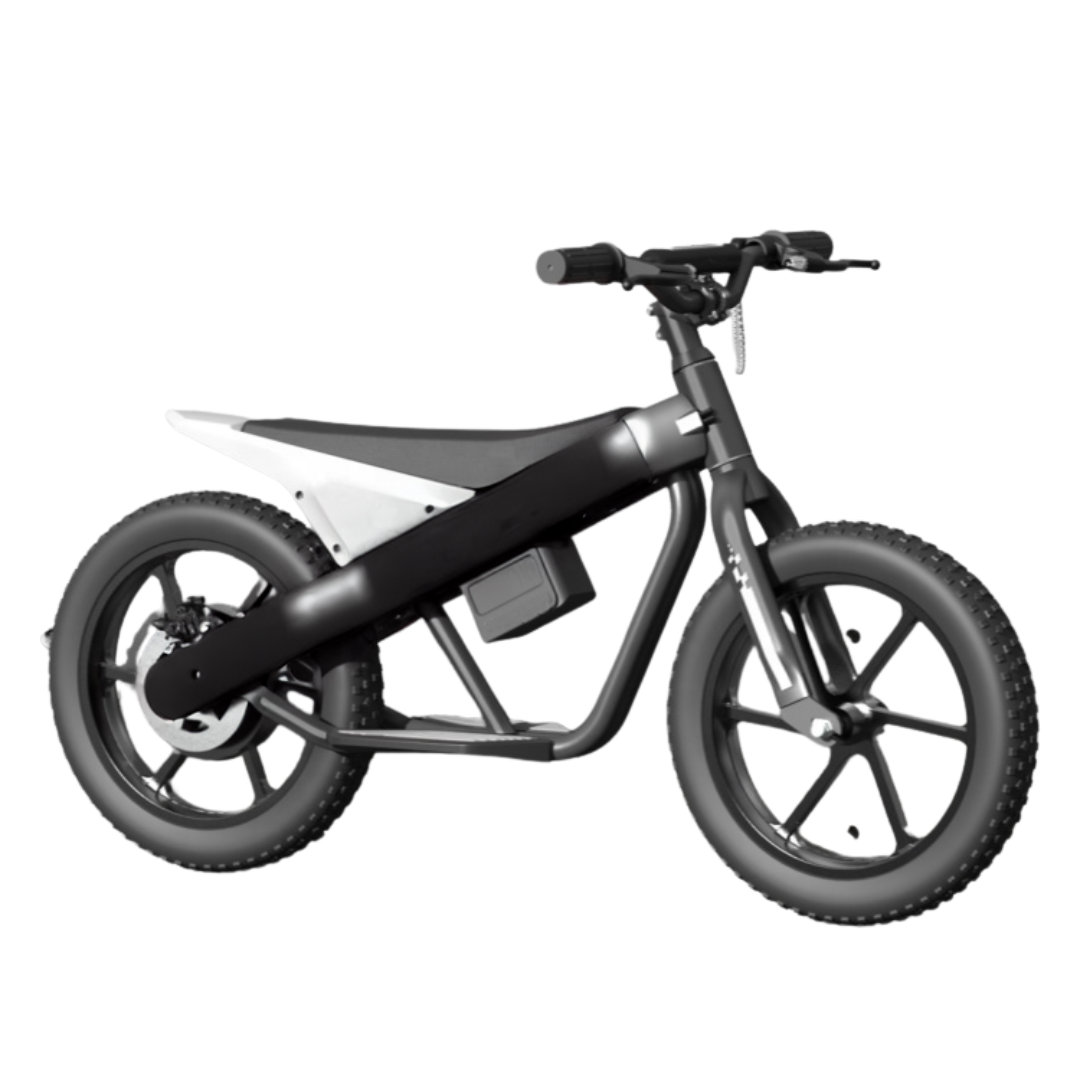 Bicicleta eléctrica axion