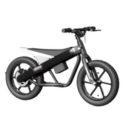 Bicicleta eléctrica axion